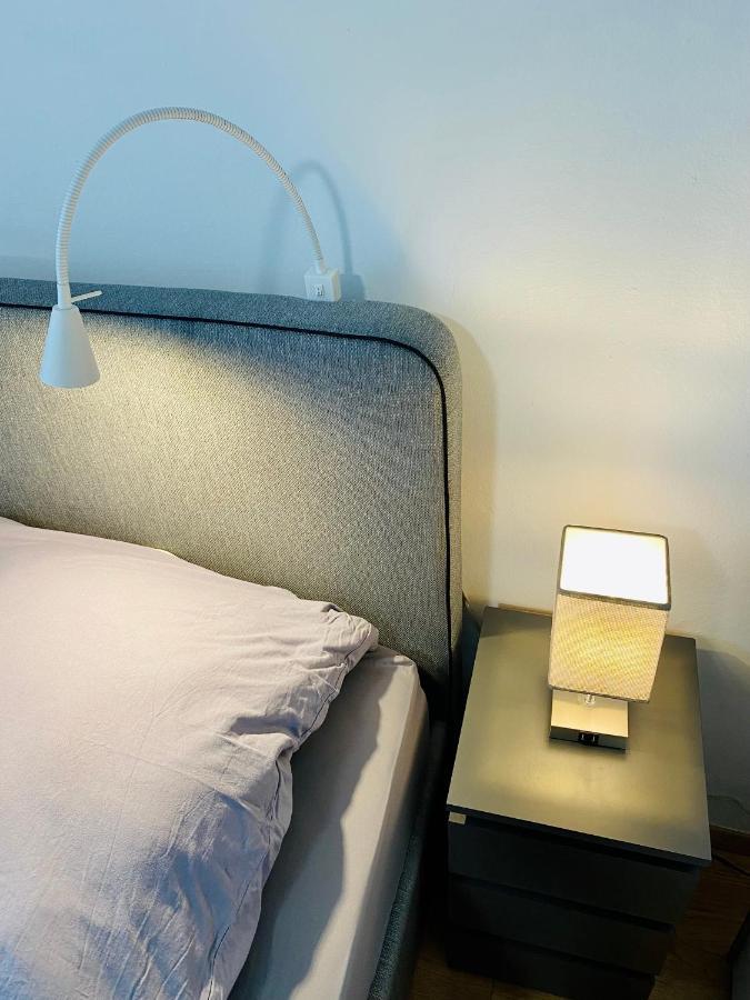 Einzimmer-Apartment 25 M2 Gartenzinken Im Zentrum Von 巴德伊舍 外观 照片